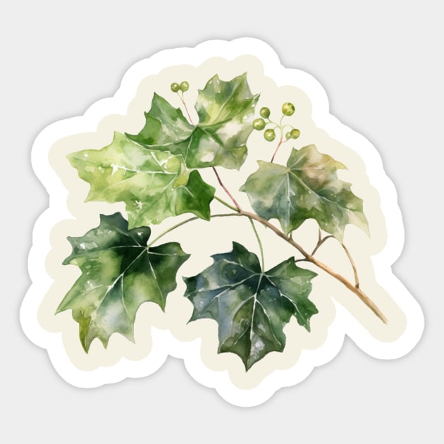 Beautiful Ivy Leaves Sticker by bztees3@gmail.com